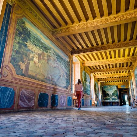 Chambres D'Hotes Au Chateau De Gizeux Eksteriør billede