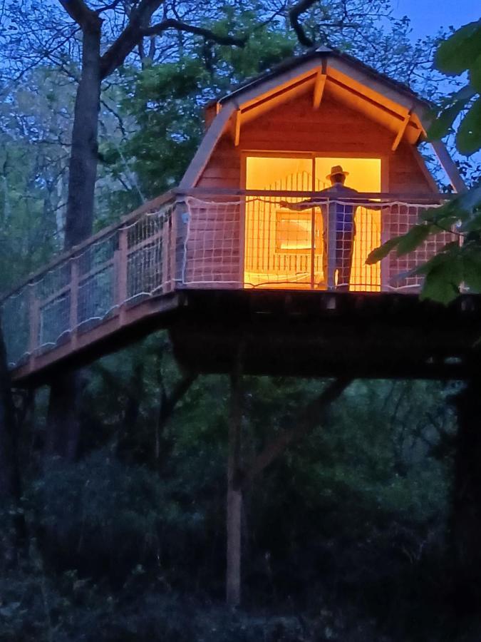 Chambres D'Hotes Au Chateau De Gizeux Eksteriør billede
