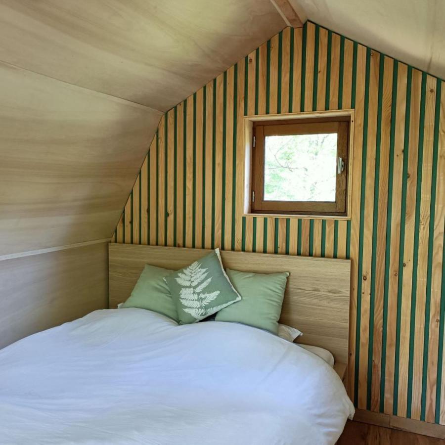 Chambres D'Hotes Au Chateau De Gizeux Eksteriør billede