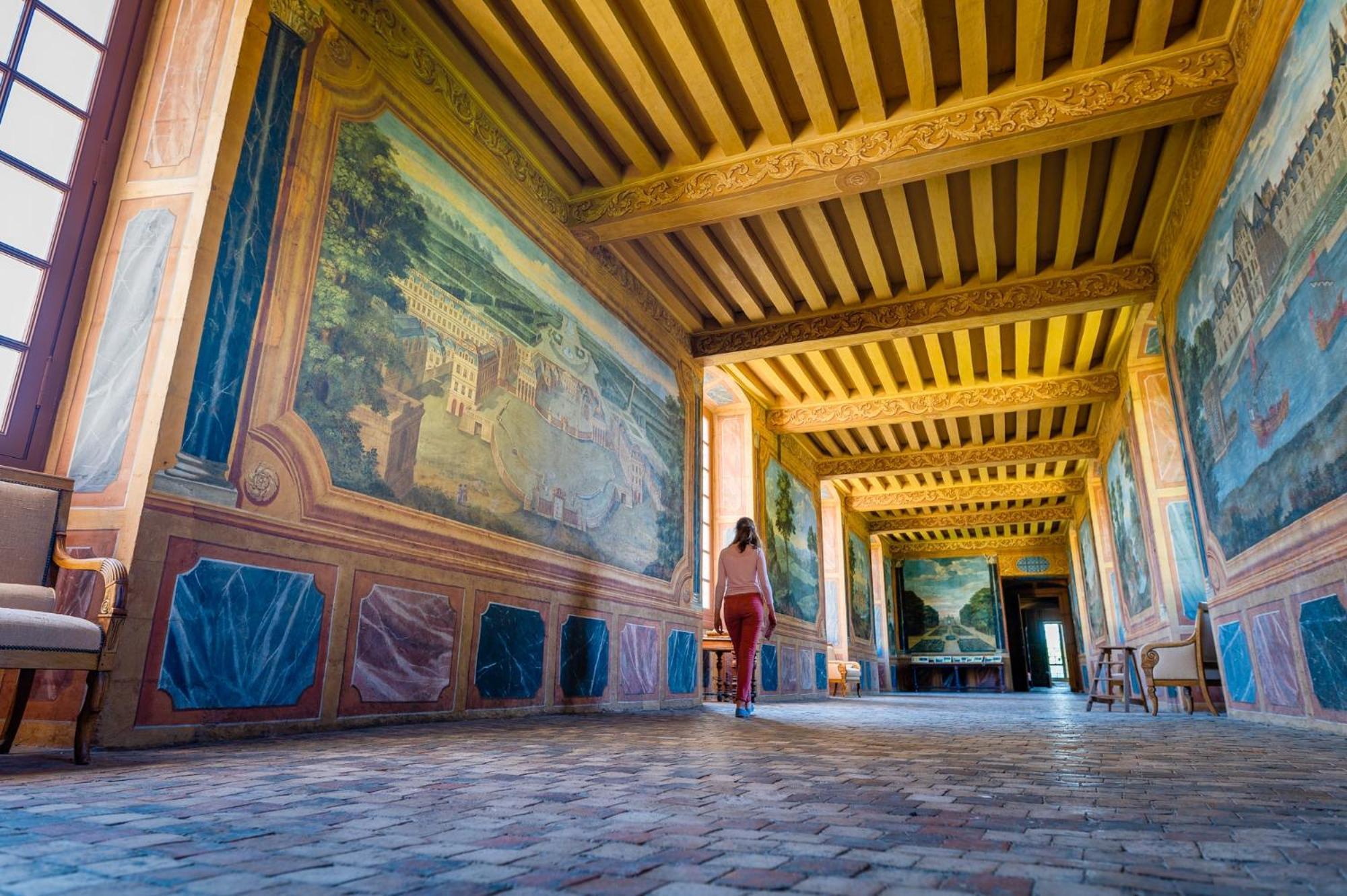 Chambres D'Hotes Au Chateau De Gizeux Eksteriør billede